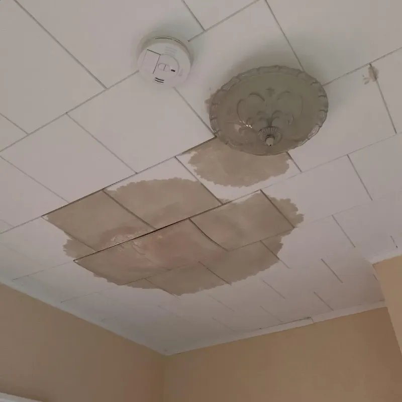 Ceiling Water Damage Repair in Dupo, IL