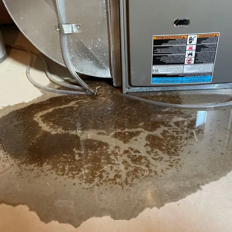 Pipe Burst and Leak Restoration in Dupo, IL