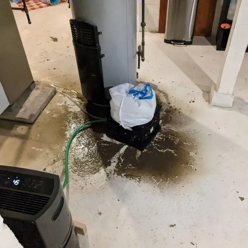 Sewage Backup Cleanup Service in Dupo, IL